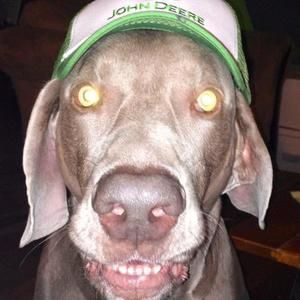 Meet your Posher, Eli